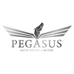 Pegasus Auto House